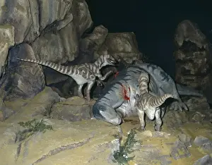 Deinonychus