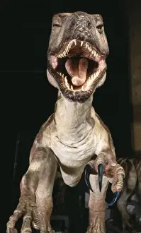 Deinonychus