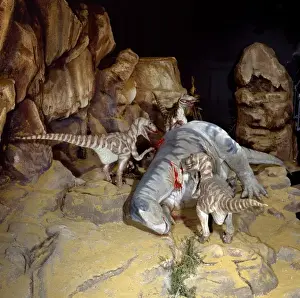 Deinonychus
