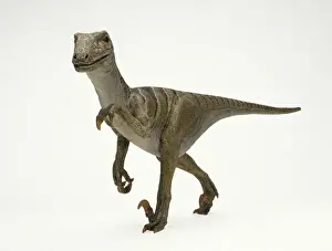 Deinonychus