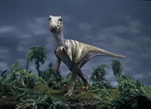 Deinonychus