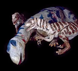 Deinonychus