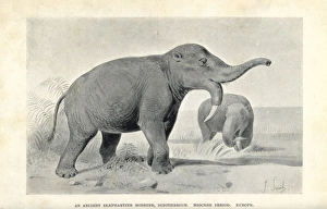  Posterazzi Deinotherium compared to a modern adult African  Elephant Poster Print, (32 x 24): Posters & Prints