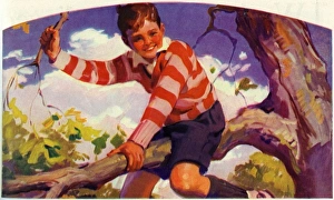 Images Dated 24th February 2010: Del. Mar 29. Boy in tree