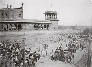 Delhi Durbar probably 1911, Elephants in procession