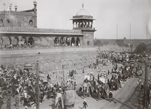 Delhi Durbar, probably 1911, Elephants in procession