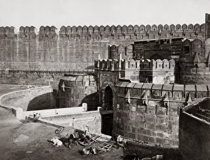 Cows Gallery: Delhi Gate, Agra Fort, India, 1870 s