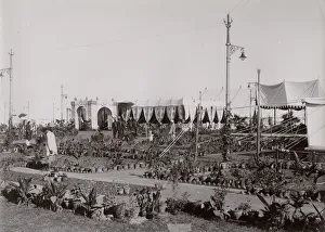 Delhi at the time of the Delhi Durbar, India