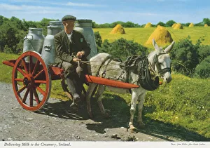 Delivering Milk