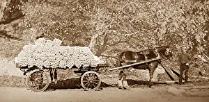 A delivery of yarn, linen production, Victorian period