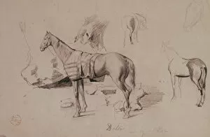 Tarragona Collection: Dello, horse of General Prim. 1860. Drawing by Mariano Fortu