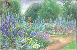 Pressland Prints: Delphinians in Cambridge Cottage Garden, Kew Gardens