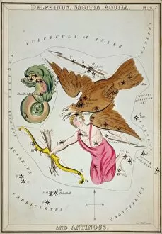Delphinus, Sagitta, Aquila, and Antinous