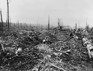 Delville Wood 1916