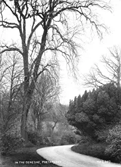 In the Demesne, Portaferry