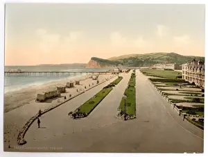 Teignmouth Prints: The den, Teignmouth, England