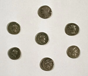 Emperors Collection: Denarius. Roman silver coin. Adverse. Roman emperors. Effigi