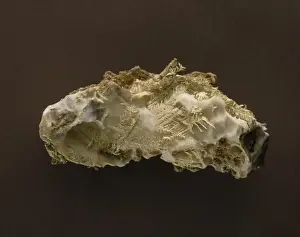 Metallic Prints: Dendritic gold growth