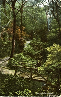 Gateshead Collection: The Dene, Saltwell Park, Northumberland