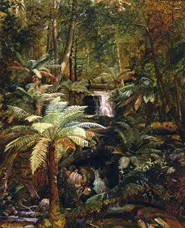 Waterfall Prints: Dense Jungle in New Guinea, Charles E Gordon Frazer