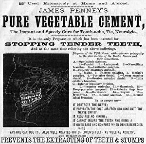 Images Dated 31st December 2015: Dental advert, Pure Vegetable Cement