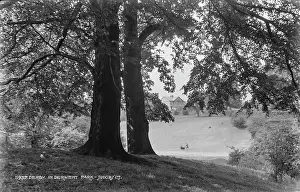 Derwent Prints: Derby in Derwent Park