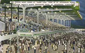 Derby Lane greyhound track, St Petersburg, Florida, USA
