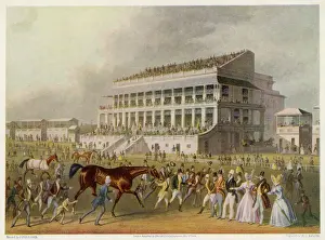C 1830 Prints: The Derby Winner C1830