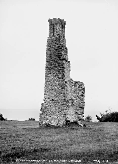 Stump Gallery: Derrywarragh Castle, Maghery, Loch Neagh