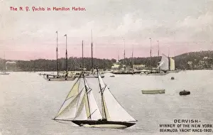 Bermudian Prints: Dervish Yacht in Hamilton Harbour, Bermuda