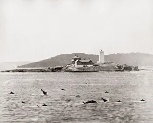The Derwent Lighthouse, Tasmania, Australia