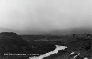 Cows Prints: Descending Mists on Dartmoor