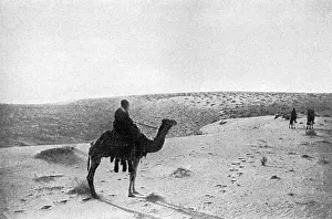 The Desert