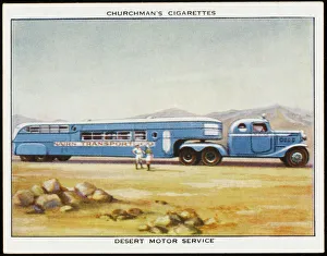 Vice Collection: Desert Bus Service