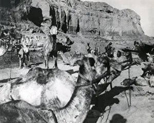 Desert column at El Magdhaba, Egypt, WW1