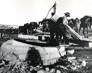 Desert columns at El Magdhaba, Egypt, WW1
