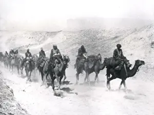 Desert Mounted Corps with camels, Jordan, WW1