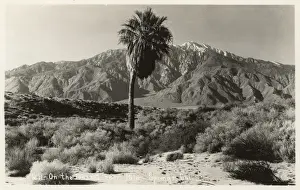 Desert near Palm Springs, California, USA