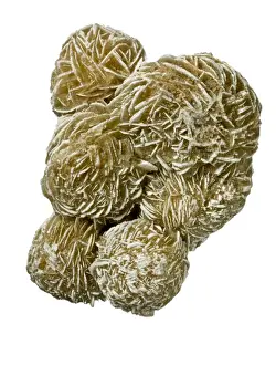 Gypsum Prints: Desert rose