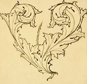 Images Dated 5th November 2013: Design with acanthus leaves