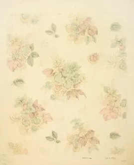 Images Dated 5th November 2013: Design for chintz with leaves