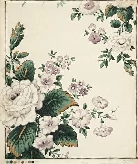 Images Dated 12th November 2013: Design for Chintz with roses