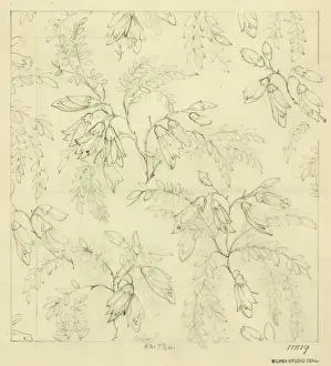 Design for dress silk or print with flowers