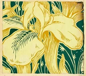 Images Dated 12th November 2013: Design for Printed Textile with lilies