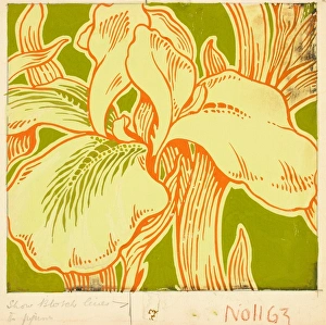 Images Dated 5th November 2013: Design for printed textile with lily flower
