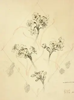 Crayon Prints: Design for textile or wallpaper with flowers