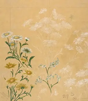 Design for Textile or Wallpaper with flowers