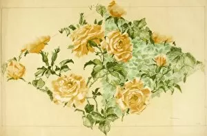 Images Dated 12th November 2013: Design for Textile or Wallpaper with yellow roses