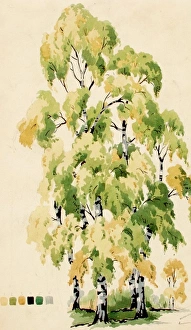 Images Dated 5th November 2013: Design with trees