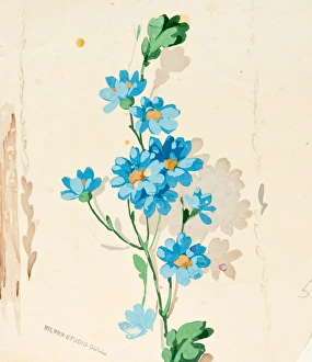 MoDA - Museum of Domestic Design & Architecture Gallery: Design for Wallpaper with bright blue flowers